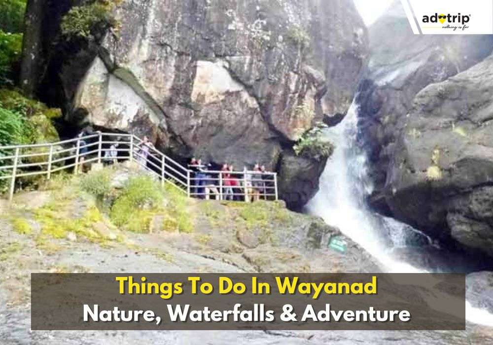 Things To Do In Wayanad